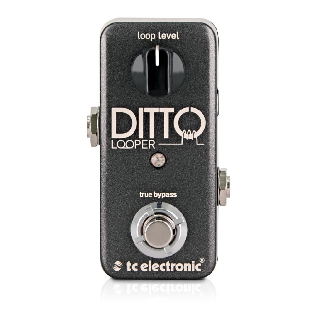 TC Electronic Ditto Looper In Stock