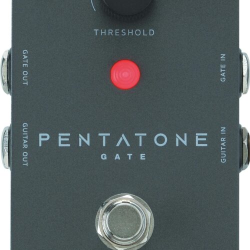 Ibanez PTGATE Noise Gate Pedal preorder