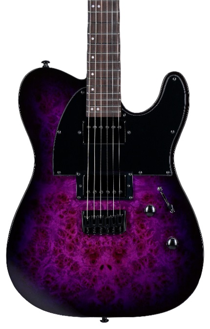 ESP LTD TE-200DX Electric Guitar in Purple Burst