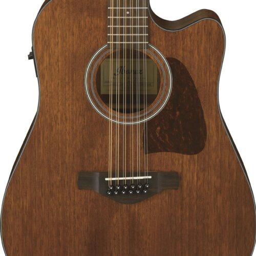 Ibanez Artwood AW5412CE 12 String Electro Acoustic 2018