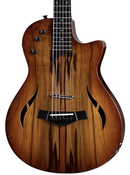 Taylor Exotic Top T5z Classic in Blackheart Sassafras with Aerocase