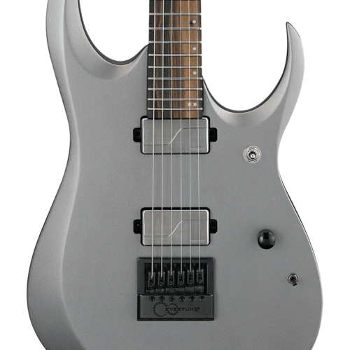 Ibanez Axion Label RGD61ALET in Metallic Grey Matte