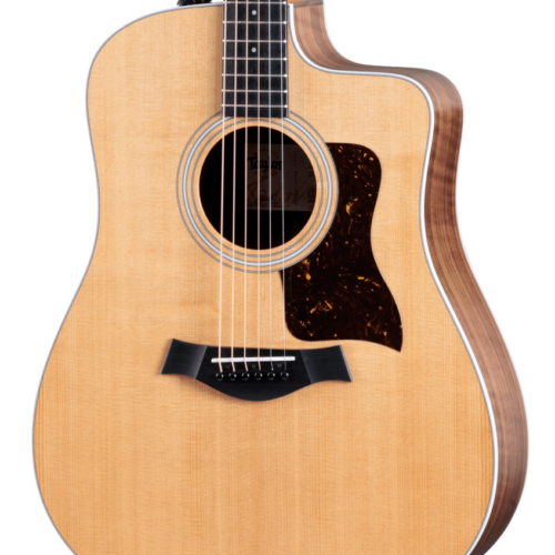 Taylor 210ce Electro-Acoustic in Natural