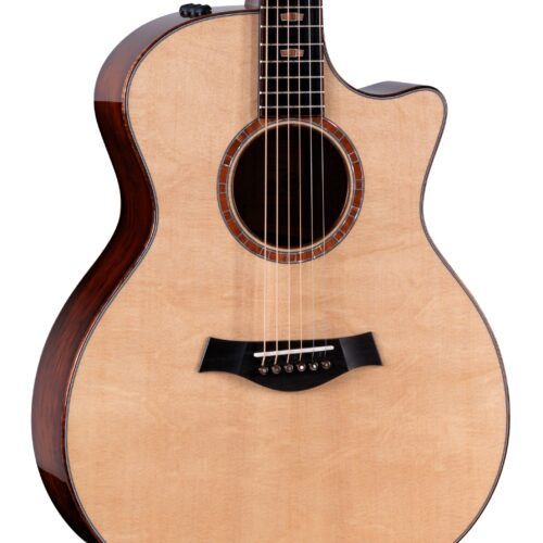 Taylor 2025 Catch Custom Collection No.36 - C14ce B5036 The Bengal