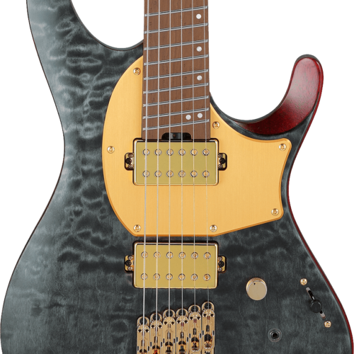 Ibanez MGFM10 Manuel Gardner Fernandes Signature Obsidian Black Low Gloss