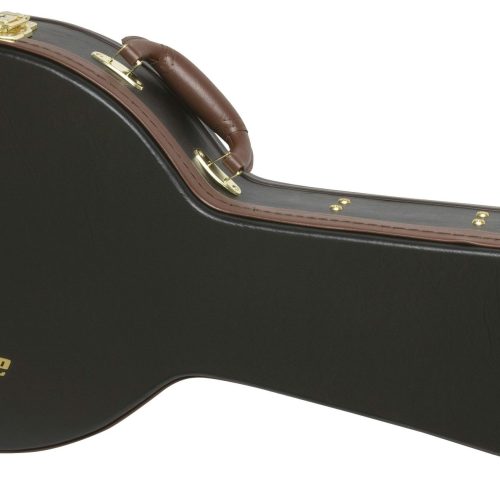 Epiphone A Style Mandolin Case in stock
