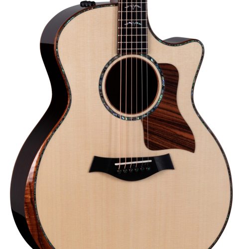Taylor 2025 Catch Custom Collection No.19 - C14ce B5019 in stock