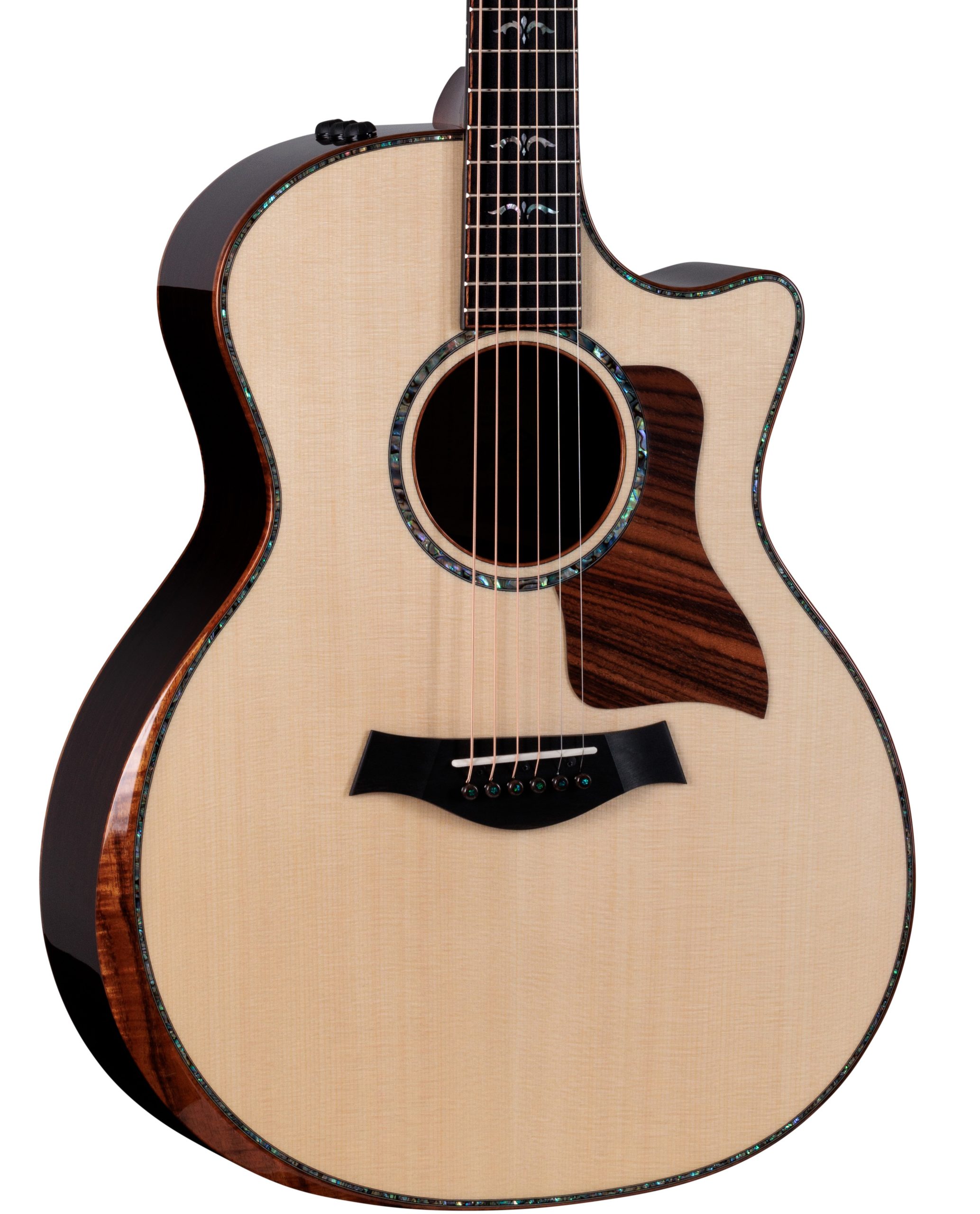 Taylor 2025 Catch Custom Collection No.19 - C14ce B5019 in stock