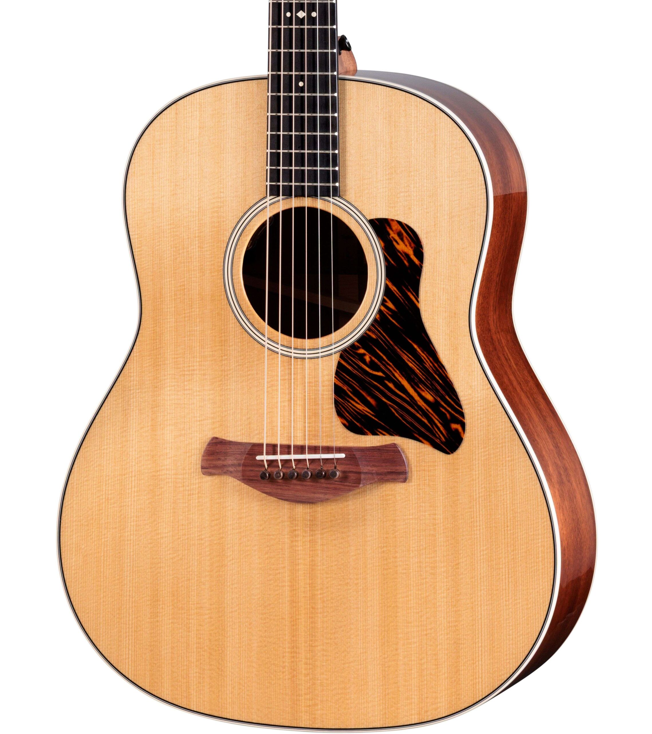 Taylor Gold Label 517e Electro-Acoustic in Natural in stock