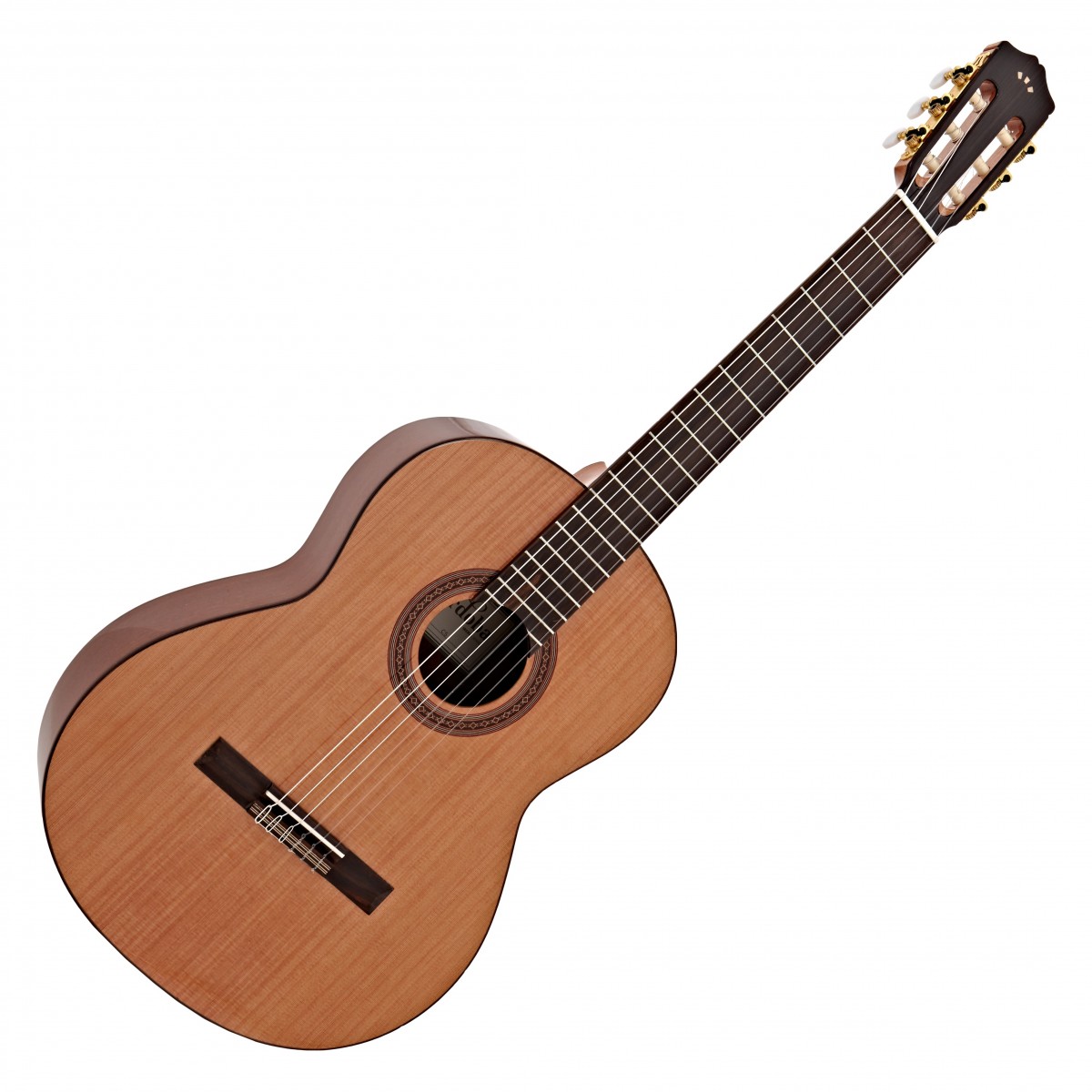 Cordoba Iberia C5 Classical Acoustic Guitar, Gloss Finish In Stock