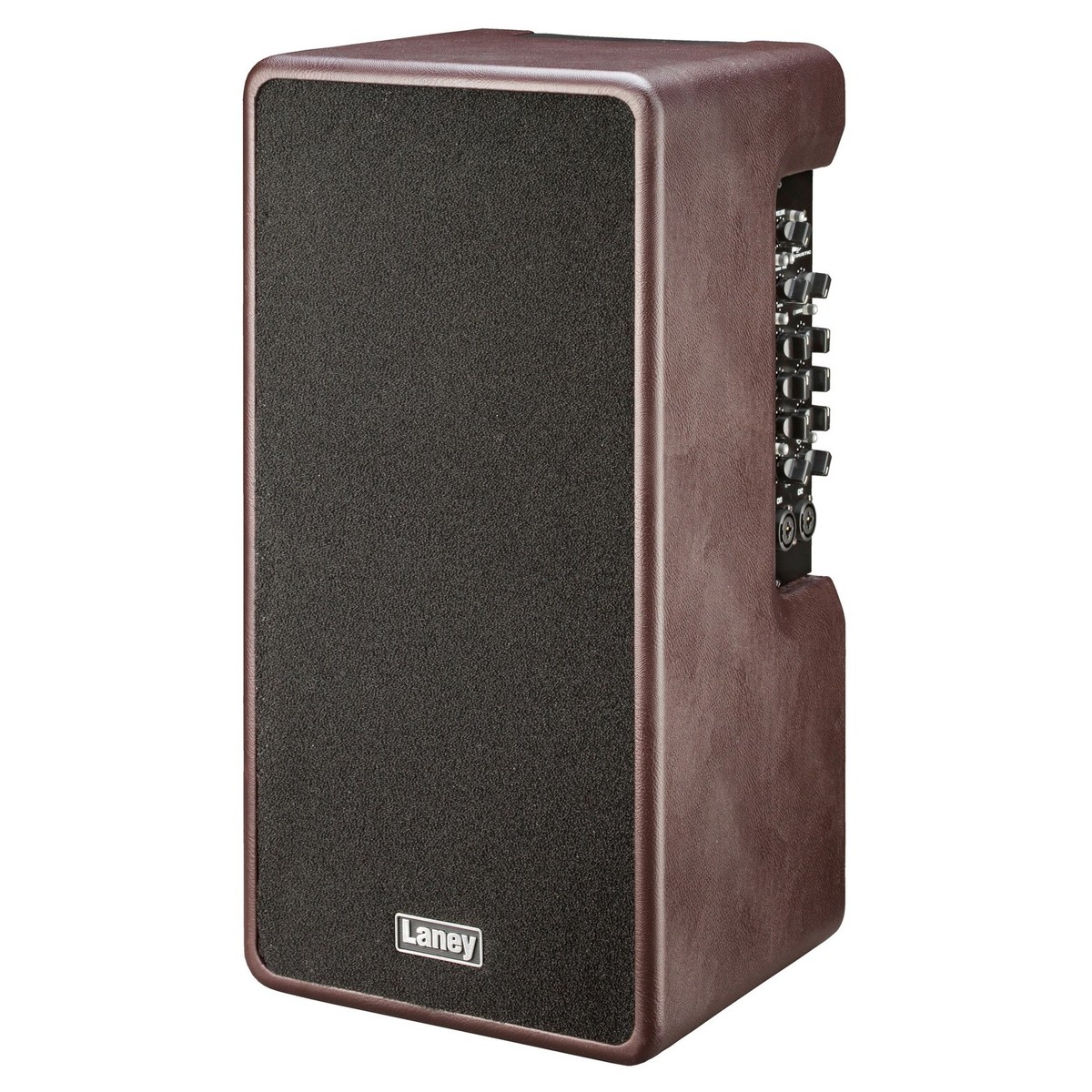 Laney A-Duo Acoustic Amp In Stock