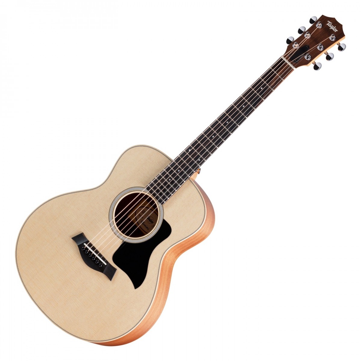 Taylor GS Mini Sapele In Stock
