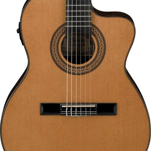 Ibanez Thinline Classical Electro-Acoustic in Amber in stock