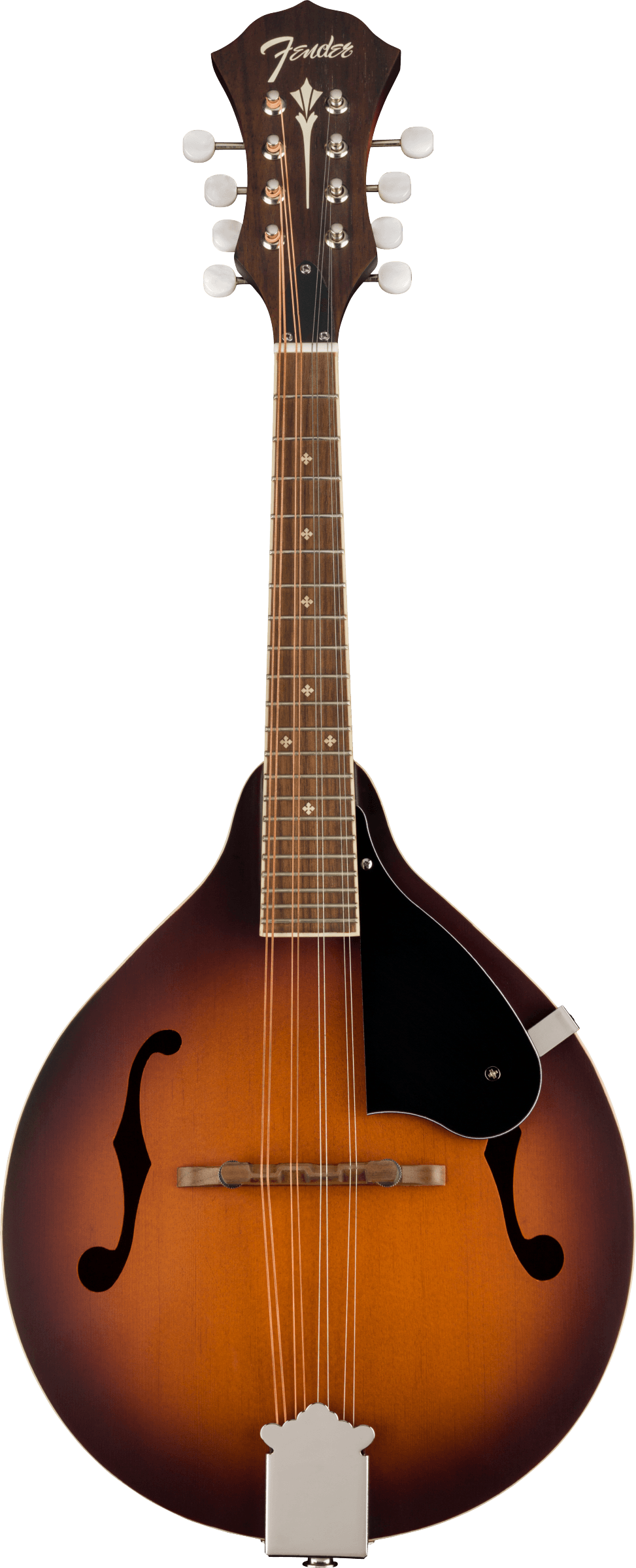 Fender PM-180E Mandolin Walnut Fingerboard in Aged Cognac Burst in stock