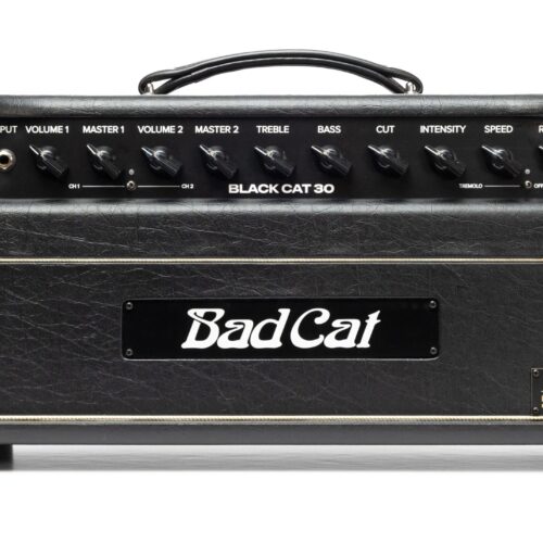 Bad Cat Mod Shop Black Cat 30 Valve Amp Head in stock